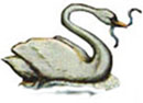 Swan logo